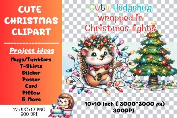 Cute Hedgehog Wrapped in Christmas Light Illustrations